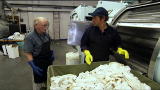 Dirty Jobs: Diaper Cleaner