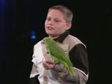 play video on Animal Planet