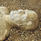 News: Top 5 Science Conspiracies, Theories and Hoaxes