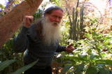 G-Word Online Clips: Extreme Green