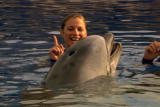 Planet's Best: Dolphin Training