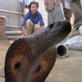 Raw Nature: Snakes Alive!