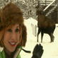 Mythbusters: Moose Mayhem