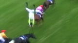Untamed and Uncut: Horse Catapults Jockey