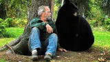Stranger Among Bears: Living With Wild Bears