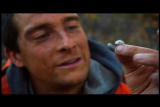 Man vs. Wild: Top 10 Gross Eats