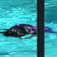 Call 911: Pool Drowning