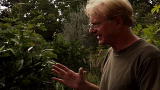 Living with Ed: Everyday Tips: Plant a Tree