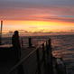 Whale Wars: Welcome to Sea Shepherd Cruises