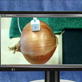 MythBusters: iOnion