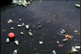 G Word Shorts: Plastic Oceans