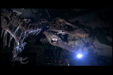 Mammals Vs. Dinos: T Rex Bite Force