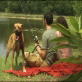 Petfinder: Camping