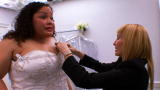 Say Yes to the Dress: Blinged Out