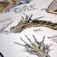 Dragons: Making Dragons Look Real