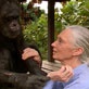Jane Goodall: Jungle Jane
