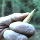 Weaponology: Booby Traps - Part 1