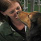 Petfinder: Adopting Senior Dogs