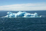 Understanding Shorts: Iceberg