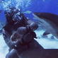 Dirty Jobs: Shark Suit