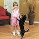 Petfinder: Back To School