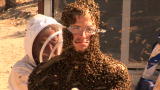 One Way Out: Full-Body Bee Suit