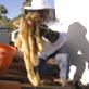 play video on Discovery Channel