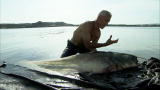 River Monsters: Wels Catfish Is Built to Kill