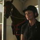 World Sporthorse Championships: Champ Profile