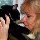 Animal Cops: Piper the Cat