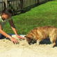 Petfinder: Digging