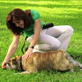 Petfinder: Crawl