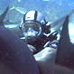 Best of Shark Week: Dirty Jobs: Jobs That Bite...Harder