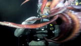 Night: Squid Wrestlin'