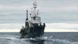 Whale Wars: The Stern Line Strategy