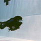 Weaponology: Navy SEALs Pt 2
