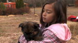 Jon & Kate Plus 8: We Want a Puppy