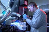 Kapow! Superhero Science: Spider Silk Gene Goats