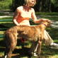 Petfinder: PSA on Spaying and Neutering 3