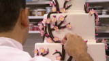 Cake Boss: Weddings, Water and Whacked! (Full Episode)