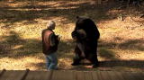 Stranger Among Bears: Bear Hunter to Bear Protector
