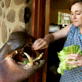 Wild 100: Jessica the Hippo Sneak Peek