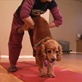 K9 Karma: Stretch Forward