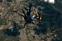 Time Warp: Skydive