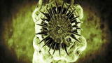 Monsters Inside Me: Pork Tapeworm