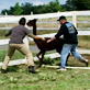 Dirty Jobs: Alpaca