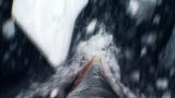 Whale Wars: Back in the Ice