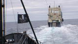 Whale Wars: Overlooking a Forlorn Shore ...