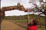 Growing Up Giraffe: Giraffe Target