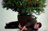 Go Green For The Holidays: Get Rooted!